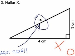 vía FISICANET